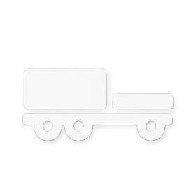 ABNORMAL TRANSPORT